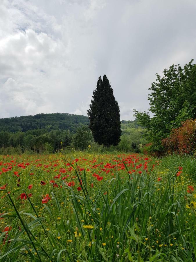 Willa Sweet In Chianti Tavarnelle Val di Pesa Zewnętrze zdjęcie